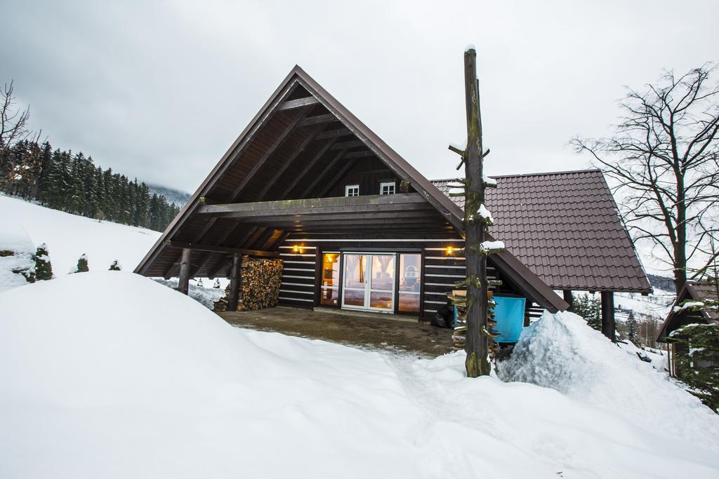 Hotel Chata Pod Lipami Rokytnice nad Jizerou Exterior foto