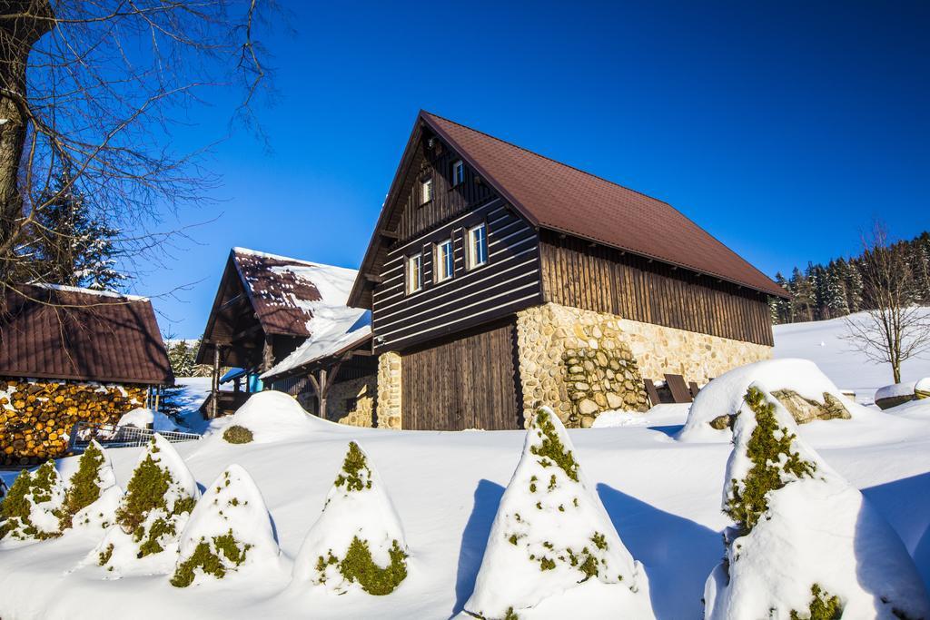 Hotel Chata Pod Lipami Rokytnice nad Jizerou Exterior foto